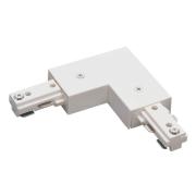 NT-313W