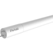 rabT8_2