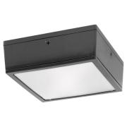 vanled75yffr_pcs2