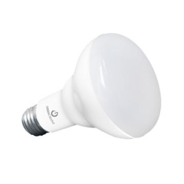 BR30 Lamps