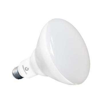 BR40 Lamps