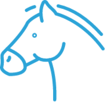 Equine Lighting