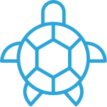 Turtle Friendly Lighting