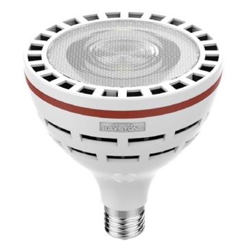 LED PAR38 Lamps
