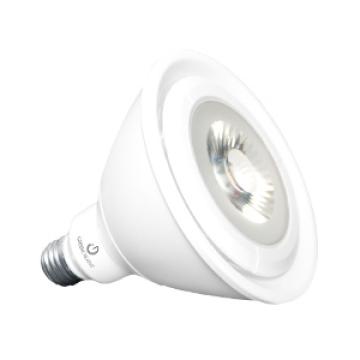 PAR38 Lamps