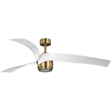 Insigna