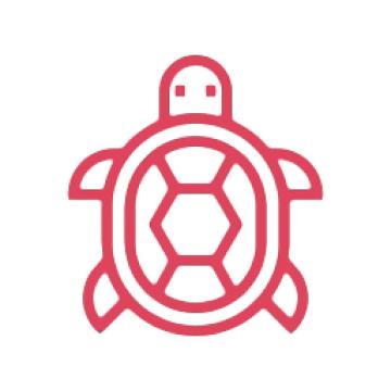 Turtle Friendly Lighting