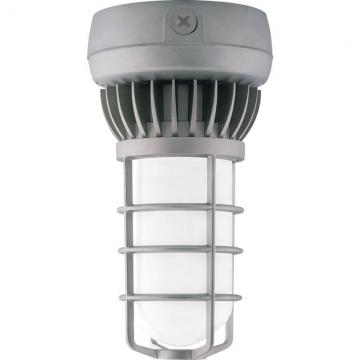 Vaporproof Lights