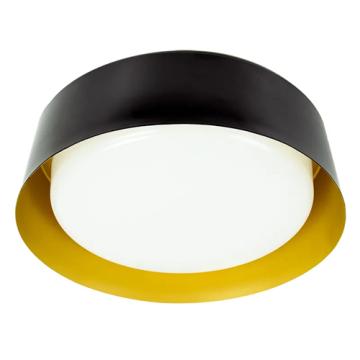 LED Ceiling Lights