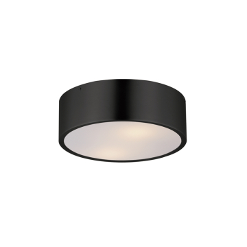Maxim Lighting Tommy 12"  2-Light Surface Mount - 120V - Black