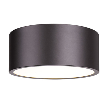 Z-Lite Harley 2-Light Flush Mount - 120V - Bronze