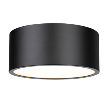 Z-Lite Harley 2-Light Flush Mount - 120V - Matte Black
