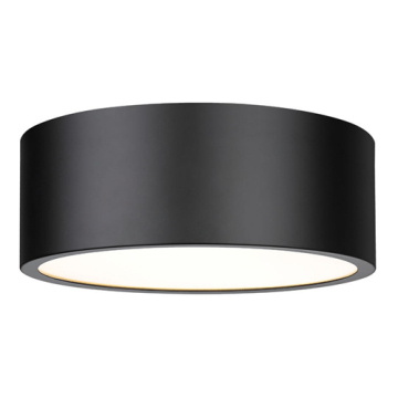 Z-Lite Harley 3-Light Flush Mount - 120V - Matte Black