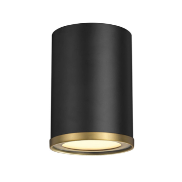 Z-Lite Arlo 1-Light Flush Mount - 120V - Matte Black / Rubbed Brass