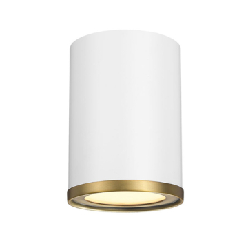 Z-Lite Arlo 1-Light Flush Mount - 120V - Matte White / Rubbed Brass
