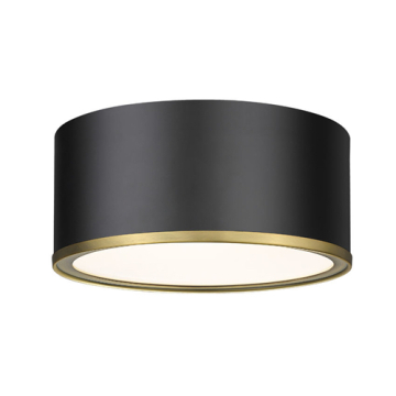 Z-Lite Arlo 2-Light Flush Mount - 120V - Matte Black / Rubbed Brass