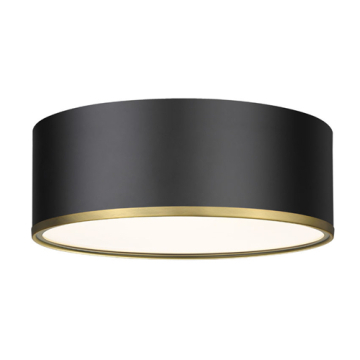 Z-Lite Arlo 3-Light Flush Mount - 120V - Matte Black / Rubbed Brass