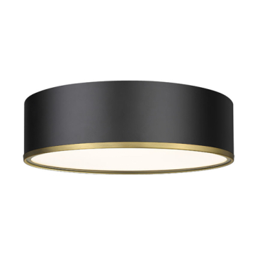 Z-Lite Arlo 4-Light Flush Mount - 120V - Matte Black / Rubbed Brass