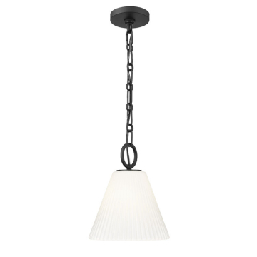Z-Lite Alaric 10" 1-Light Pendant - 120V - Matte Black