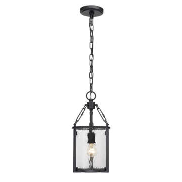 Z-Lite Barrington 1-Light Pendant - 120V - Matte Black