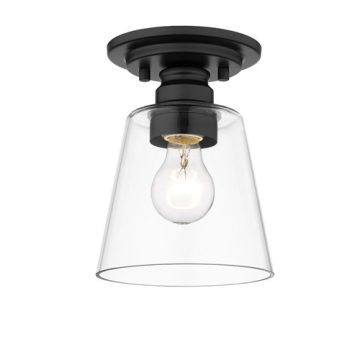 Z-Lite Annora 1-Light Flush Mount - 120V - Matte Black