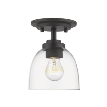 Z-Lite Ashton 1-Light Flush Mount - 120V - Bronze / Clear