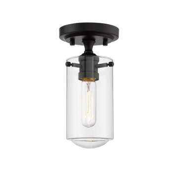 Z-Lite Delaney 1-Light Flush Mount - 120V - Matte Black