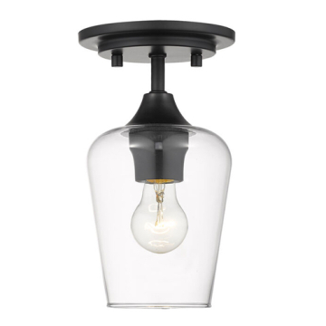 Z-Lite Joliet 1-Light Flush Mount - 120V - Matte Black
