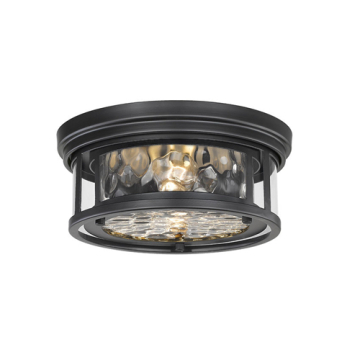Z-Lite Clarion 2-Light Flush Mount - 120V - Matte Black