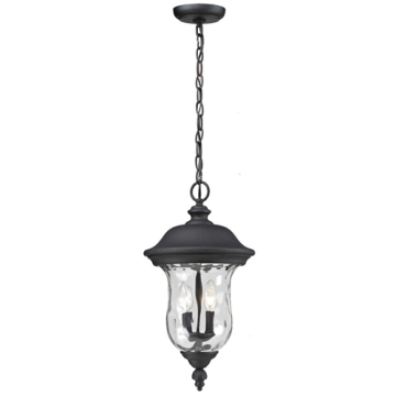Z-Lite Armstrong 2-Light Outdoor Pendant - 120V - Black