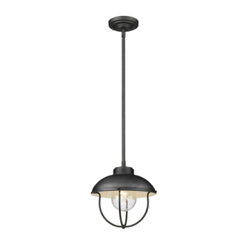 Z-Lite Ansel 1-Light Outdoor Pendant - 120V - Black