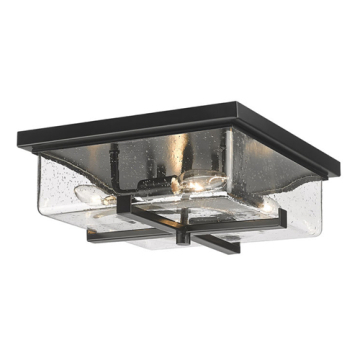 Z-Lite Sana 4-Light Outdoor Flush Mount - 120V - Black / Seedy