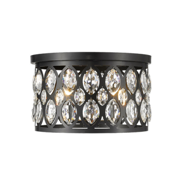 Z-Lite Dealey 16" 4-Light Flush Mount - 120V - Matte Black