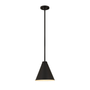 Z-Lite Eaton 12" 1-Light Pendant - 120V - Matte Black