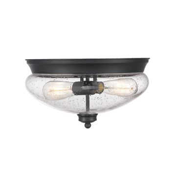 Z-Lite Amon 2-Light Flush Mount - 120V - Matte Black / Clear Seedy
