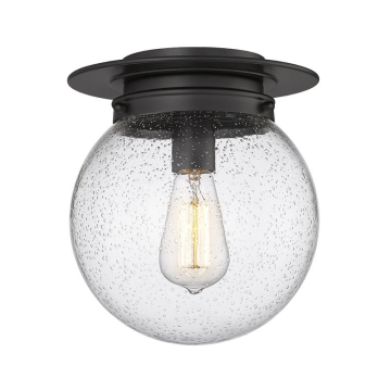Z-Lite Calhoun 9" 1-Light Flush Mount - 120V - Matte Black / Clear Seedy