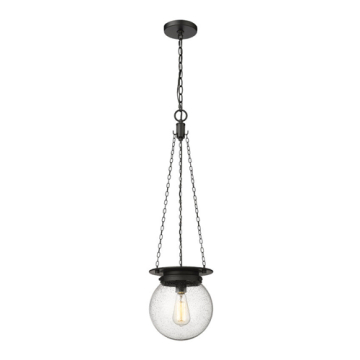 Z-Lite Calhoun 9" 1-Light Pendant - 120V - Matte Black / Clear Seedy
