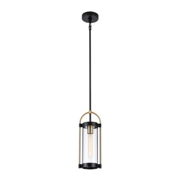 Artcraft Bonita 1-Light Pendant - 120V - Black / Brushed Brass