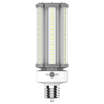 RAB LED HID Retrofit Lamp - EX39 Base - CCT Selectable - 120-277V