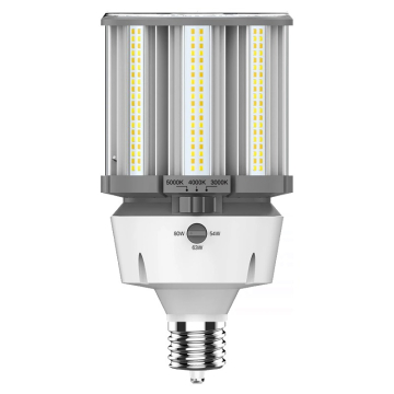 RAB LED HID Retrofit Lamp - EX39 Base - CCT Selectable - 120-277V