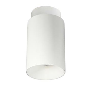 Nora Lighting 5" iLENE Mini Cylinder - Surface Mount - 2000 Lumens - 40W - 2700K - White - 120-277V