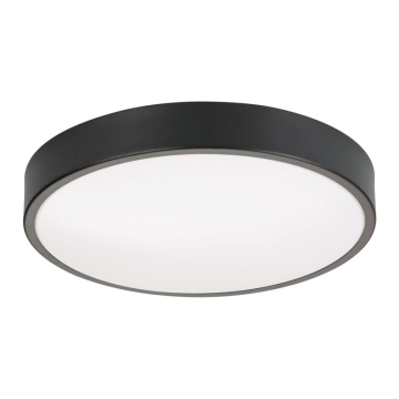 AFX Octavia 12" LED Flush Mount - CCT Selectable - 120V - Black