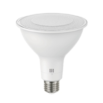 RAB 19W LED PAR38 Lamp - CCT Selectable - 1,800 Lumens - 120V