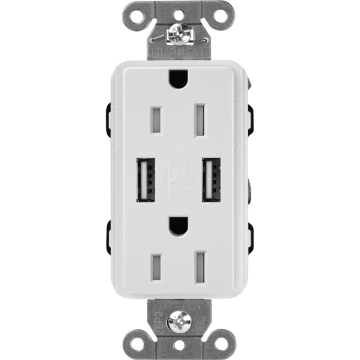 Lutron Claro 15A Tamper Resistant Receptacle - Dual USB - Mist