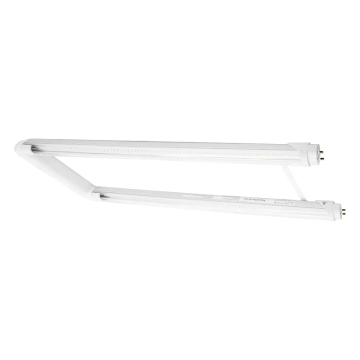 Westgate LED T8 U-Bend Tube - Type A/B - G13 Base - Clear - 15W - 4100K - 2,100 Lumens - 120-277V