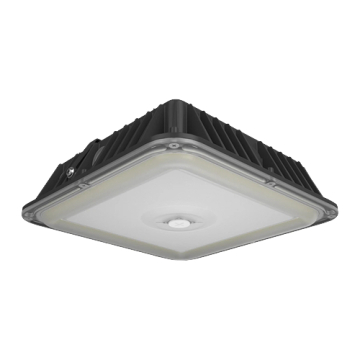 RAB VAN17 LED Canopy Light - 40 | 50 | 60W - Wattage & CCT Selectable - 120-277V