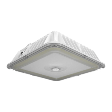 RAB VAN17 LED Canopy Light - 40 | 50 | 60W - Wattage & CCT Selectable - 120-277V - White