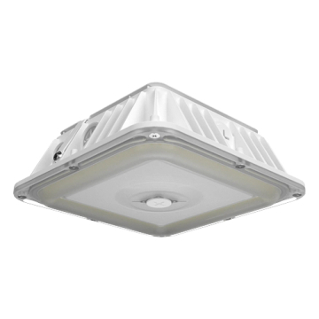 RAB VAN17 LED Canopy Light - 20 | 25 | 30W - Wattage & CCT Selectable - 120-277V - White