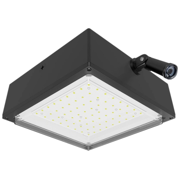 RAB 10W LED Canopy Light - 120V Swivel Photocell - Drop Lens - 5000K - 1,971 Lumens - 120V - Bronze