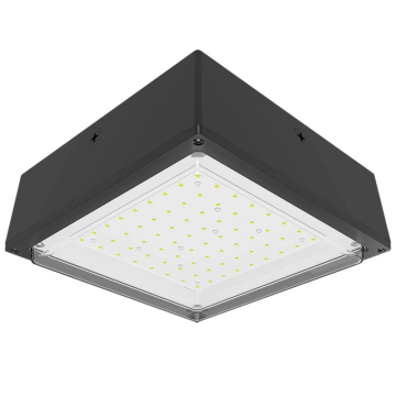 RAB 10W LED Canopy Light - Drop Lens - 5000K - 1,971 Lumens - 120-277V - Bronze